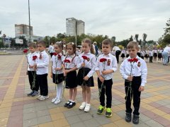 img (1)